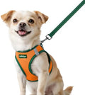 rabbitgoo Dog Harness Small Sized and Leash Set, Step in Soft Vest by rabbitgoo