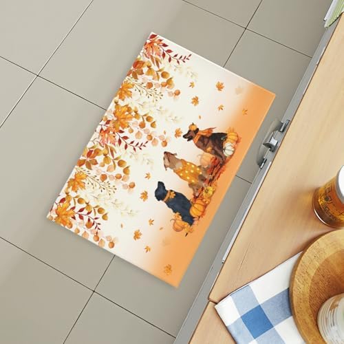 Giwawa Fall Dogs Bath Rug Autumn Leaves Bathtub Mat Non Slip Absorbent Holiday - Image 6
