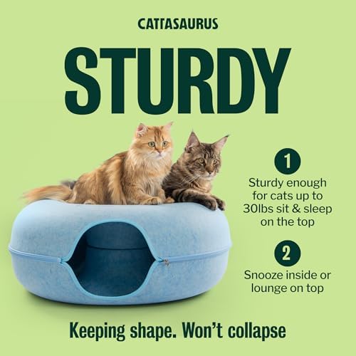 Cattasaurus Peekaboo Cat Cave Donut - Image 5