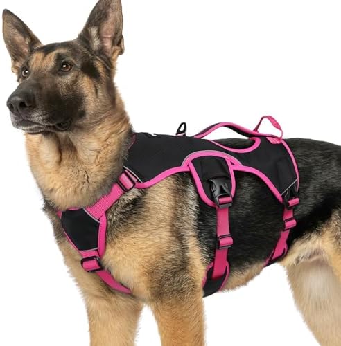 rabbitgoo Escape Proof Dog Harness by rabbitgoo