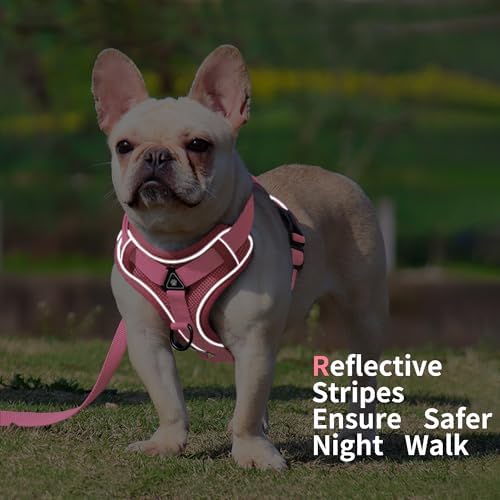 Dog Harness Medium Sized Dog Pet Vest - Image 5
