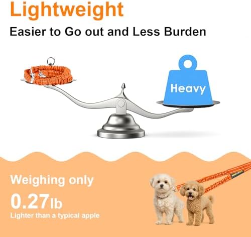 MingXpet 2 Dog Leash, Dog Leash - Image 6