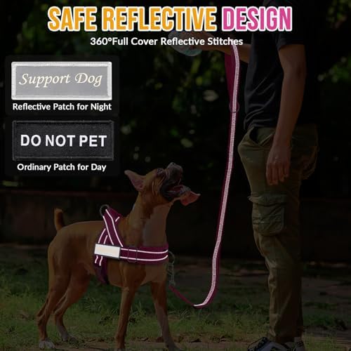 Lukovee No Pull Dog Harness and Leash Set, Soft Padded - Image 6