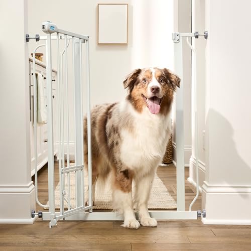 Carlson 36" Extra Tall Walk Through Dog Gate - Image 5