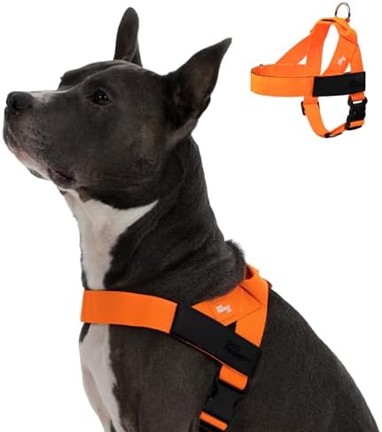 Dog Friendly Co. Dog Harness for Small Dogs by DogFriendly