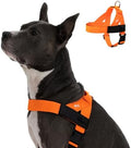 Dog Friendly Co. Dog Harness for Large Dogs by DogFriendly