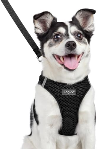 Eagloo Small Dog Harness and Leash Set, Step in Medium Small Puppy Pet Vest by GoExplorewithEagloo