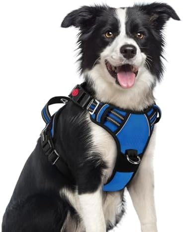 rabbitgoo Dog Harness Medium Sized, No Pull 3 Buckles Easy On & Off by rabbitgoo