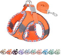 AIITLE Teacup Puppy Harness by AIITLE-FORPETSBETTERLIFE