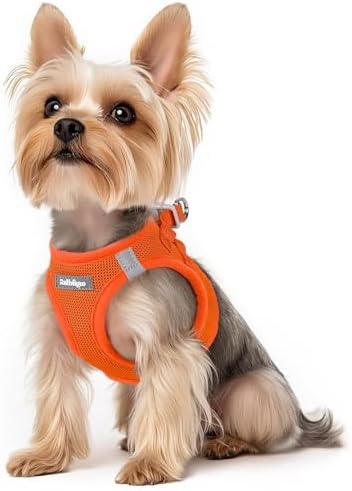 rabbitgoo Step-in Small Dog Harness, Puppy Vest by rabbitgoo