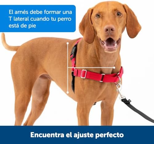 PetSafe Easy Walk Harness, No Pull Dog Harness, Royal Blue, Small/Medium - Image 5