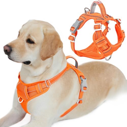 BARKBAY Dog Harness No Pull by BARKBAY