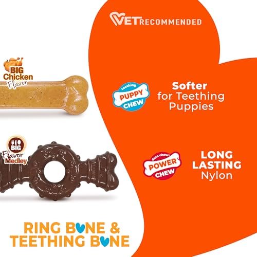 Nylabone Puppy Chew Teething Bone and Ring Bone Dog Chew Toys - Image 4