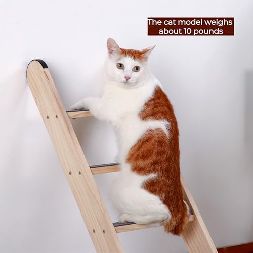 SHENGOCASE Solid Wood Wall Leaning Cat Ladder - Image 4
