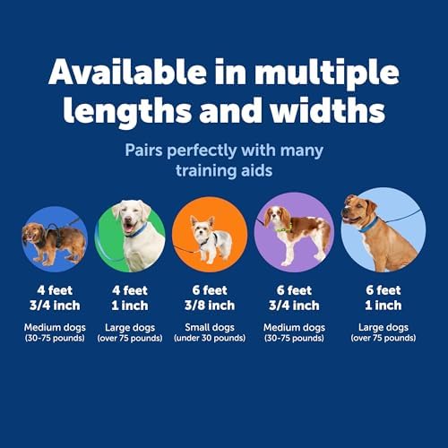 PetSafe Nylon Dog Leash, Raspberry Pink, 3/4 in x 4 ft - Image 5