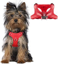 BARKBAY Small Dog Harness, No Pull Puppy Harness, Step-in Dog Vest by BARKBAY