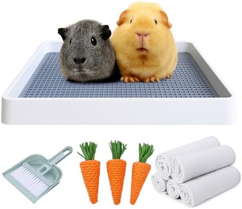 PODOO Rabbit Litter Box – Training Potty Tray by PODOO