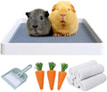 PODOO Rabbit Litter Box – Training Potty Tray by PODOO