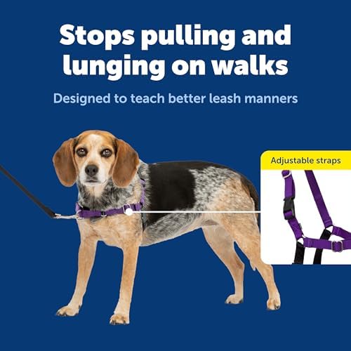 PetSafe Easy Walk Harness, No Pull Dog Harness, Deep Purple, Small/Medium - Image 3