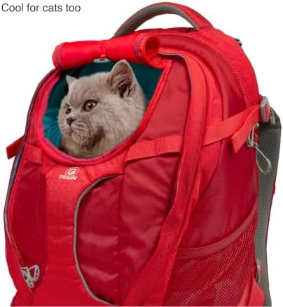Kurgo G-Train Pet Carrier Backpack - Image 5