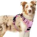 rabbitgoo Dog Harness Medium Sized, Updated Easy On & Off by rabbitgoo