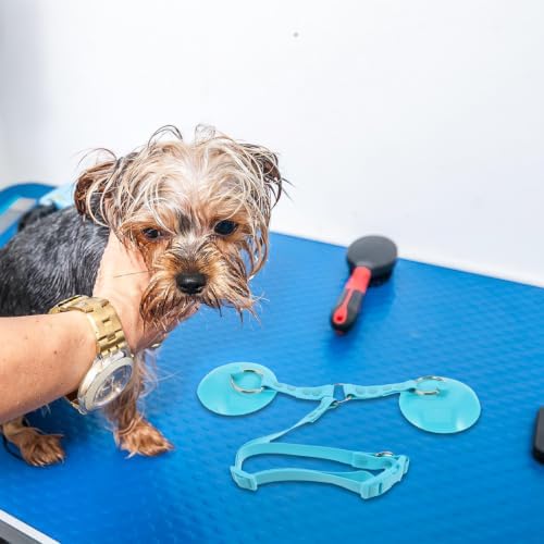 Dog Grooming Tether with Suction Cup, Adjustable Bathing Loop - Image 6