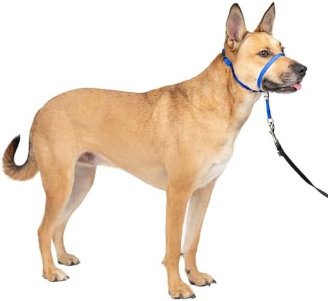 PetSafe Gentle Leader No Pull Dog Headcollar, Royal Blue by PetSafe