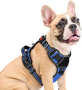 Eagloo Dog Harness No Pull for Medium Dogs, Easy On & Off by GoExplorewithEagloo
