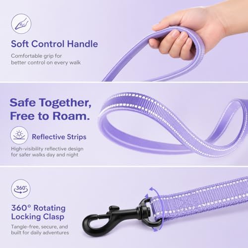 BELLA & PAL Step in Puppy Harness and Leash Set - Image 4