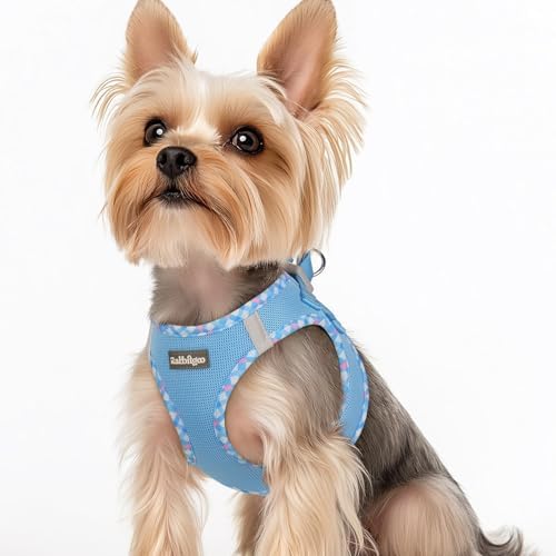 rabbitgoo Step-in Small Dog Harness, Puppy Vest by rabbitgoo