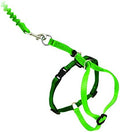 PetSafe Come with Me Kitty Harness and Bungee Leash by PetSafe