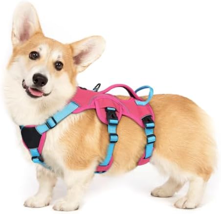 rabbitgoo Escape Proof Dog Harness by rabbitgoo