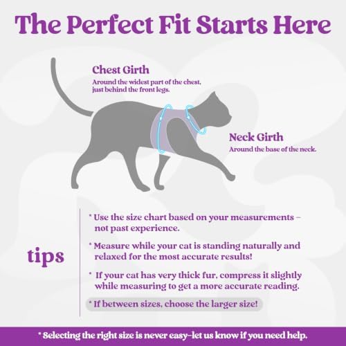 rabbitgoo Cat Harness and Leash Set, Step-in Soft Vest - Image 2