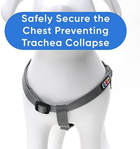 Pawtitas Solid Step-in Dog Harness – Adjustable No-Pull Vest - Image 4