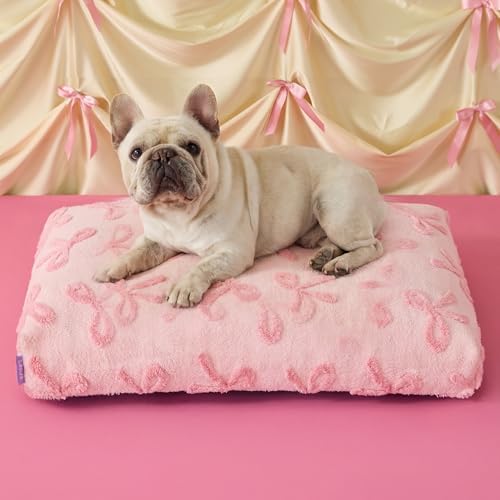LE SURE Cute Aesthetic Bed Medium Size Dog, Jacquard Thick Pet Pillow 30x20 by Lesure