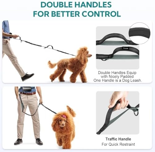 Hands Free Dog Leash for Two Dogs Walking - Image 5