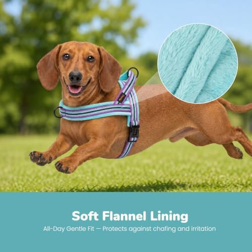 Didog No Pull Dog Harness for Small Dogs, Soft Flannel Padded, Mixed-Blue - Image 2