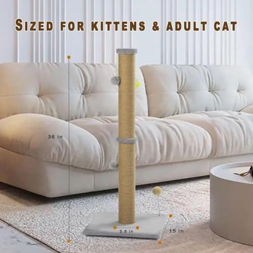 36'' Tall Cat Scratching Post for Indoor Cats - Image 6