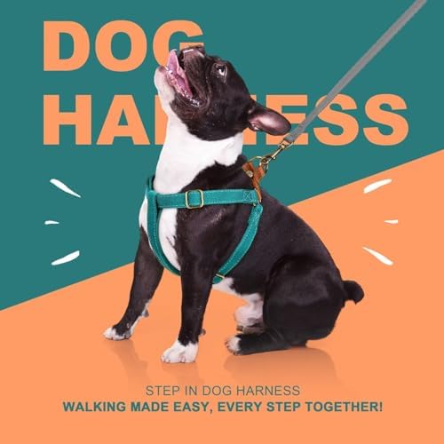 Didog Step in Dog Harnes for Small Dogs, Chest 14-22" - Image 5