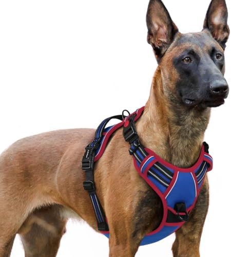 rabbitgoo Dog Harness for Large, Updated Easy On & Off by rabbitgoo