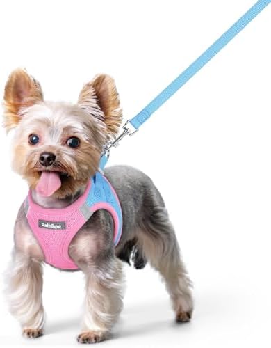 rabbitgoo Dog Harness Small Sized and Leash Set, Step-in Puppy Pet Vest by rabbitgoo