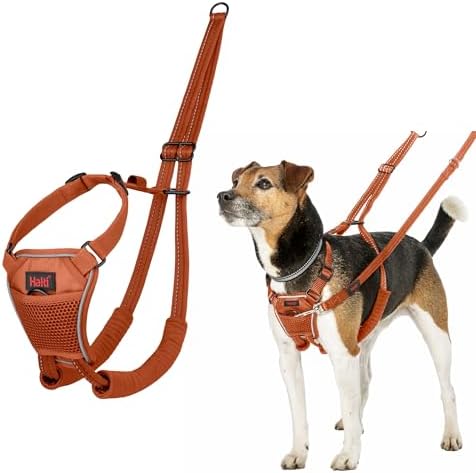 Halti No Pull Dog Harness | Size S, Burnt Orange by Halti