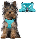 BARKBAY Small Dog Harness, No Pull Puppy Harness, Step-in Dog Vest by BARKBAY