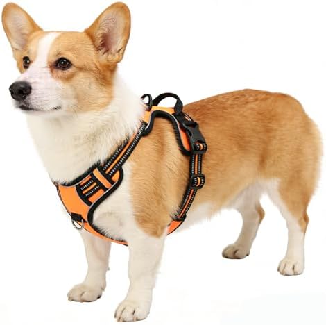 Orange No-Pull Dog Harness by Unknown