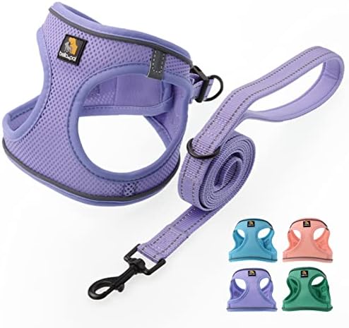 BELLA & PAL Small Dog Harness, Animal Harness by BELLAPAL