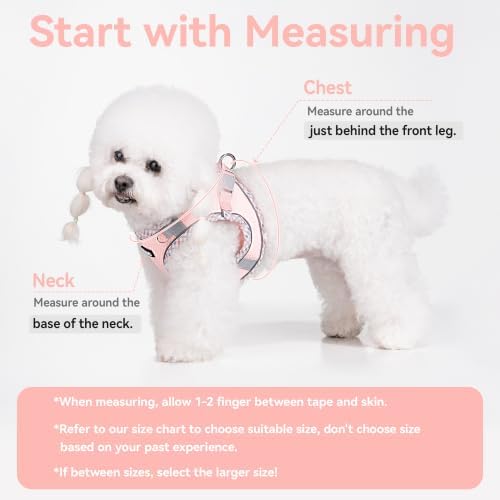 Petank Step in Dog Harness No Pull and Leash - Image 3