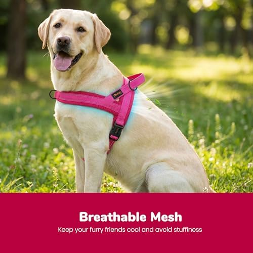 Didog No Pull Dog Harness for Large Dogs, Breathable Mesh Padded, Hot Pink - Image 2