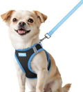 rabbitgoo Dog Harness Small Sized and Leash Set, Step in Soft Vest by rabbitgoo
