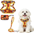 PUPTECK Thanksgiving Dog Harness and Leash Set Small Sized, Step in No Pull by PUPTECK