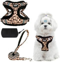 PUPTECK Dog Harness and Leash Set Small Sized, Step in No Pull Adjustable Puppy by PUPTECK